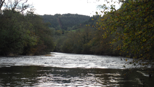 Autumn on the Irfon